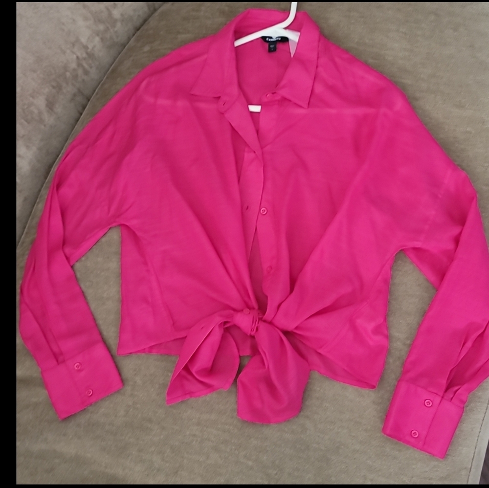 Express Sheer Blouse